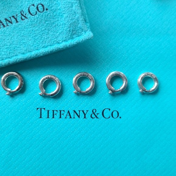 Tiffany's & Co Toggle Charm Bracelet - Picture 13 of 16